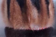 hKmoqh4pwfw